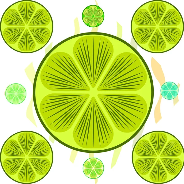 Groene helft en schijfje limoen. Vector illustratie, achtergrond. — Stockvector