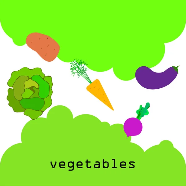 양배추, 사탕무, 당근, 가지, 감자, 신선 한 야채. 유기농 식품 포스터. 농부의 시장 디자인. 벡터 배경. — 스톡 벡터