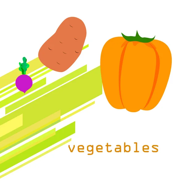 Friss zöldség. Paprika, cékla, krumpli. Organikus étel poszter. Termelői piac kialakítása. Vektor. — Stock Vector