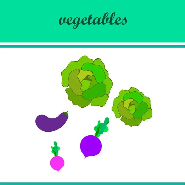 卷心菜，茄子，甜菜，新鲜蔬菜。 有机食品海报。 农贸市场设计。 矢量背景. — 图库矢量图片