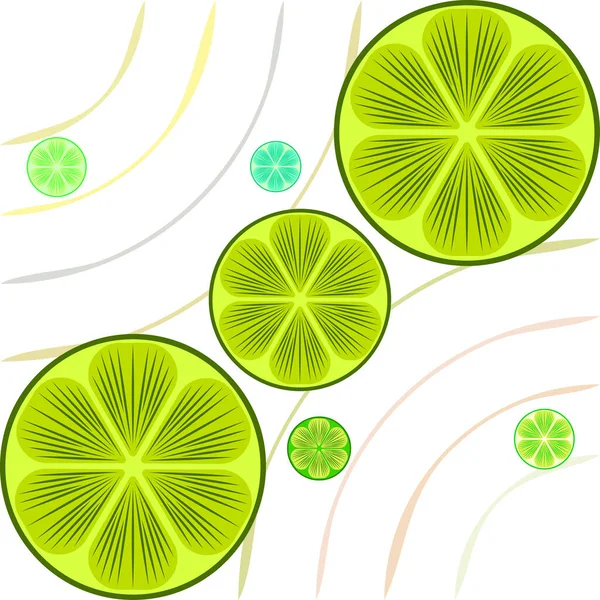 Mitad verde y rodaja de lima. Ilustración vectorial, fondo. — Vector de stock