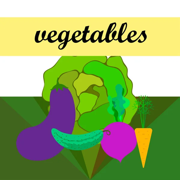 Varză, sfeclă, morcov, vinete, castravete, legume proaspete. Afișul alimentar organic. Proiectarea pieței agricultorilor. Fundal vectorial . — Vector de stoc