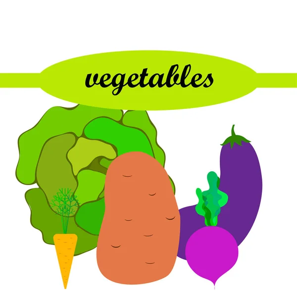 양배추, 사탕무, 당근, 가지, 감자, 신선 한 야채. 유기농 식품 포스터. 농부의 시장 디자인. 벡터 배경. — 스톡 벡터