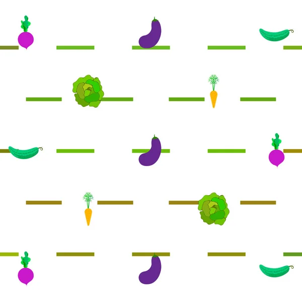 Repolho, beterraba, cenoura, berinjela, pepino, legumes frescos. Cartaz de comida orgânica. Design de mercado de agricultores. Fundo vetorial . — Vetor de Stock