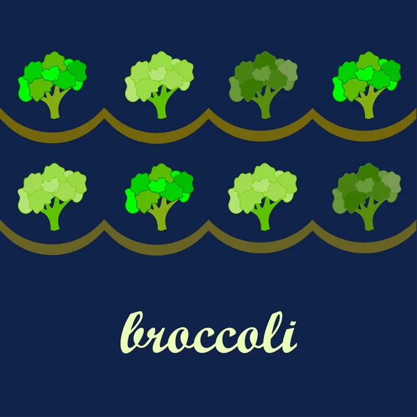 Brocoli, légumes frais. Affiche alimentaire biologique. Aménagement du marché agricole. Fond vectoriel . — Image vectorielle