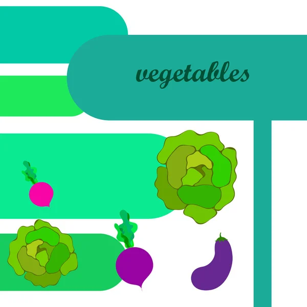 Капуста, баклажаны, свекла, свежие овощи. Плакат с органической едой. Дизайн фермерского рынка. Векторный фон . — стоковый вектор
