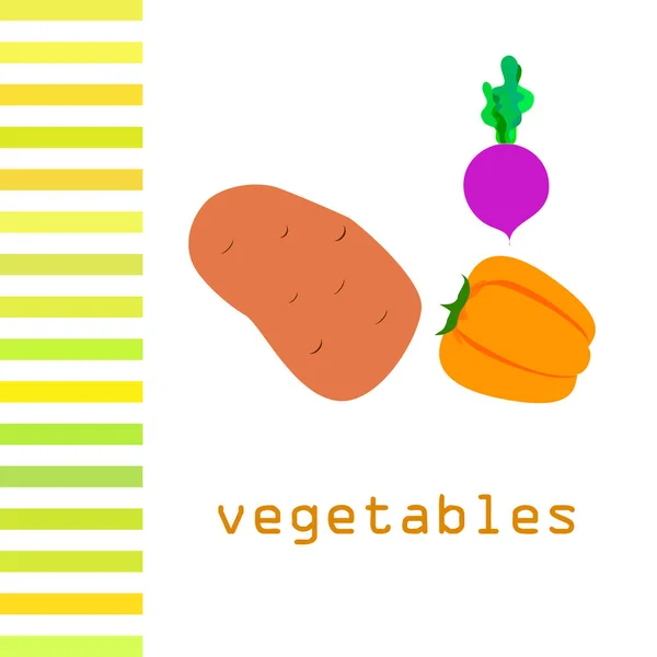 Fresh vegetables. Peppers, beets, potatoes. Organic food poster. Farmers market design. Vector. — ストックベクタ