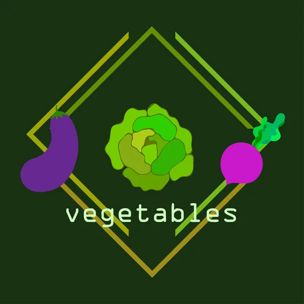 양배추, 가지, 사탕무, 신선 한 야채. 유기농 식품 포스터. 농부의 시장 디자인. 벡터 배경. — 스톡 벡터