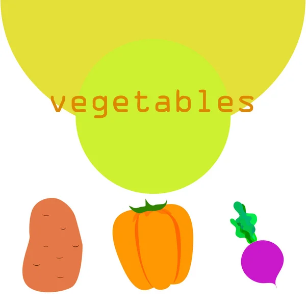 Sayuran segar. Pepper, bit, kentang. Poster makanan organik. Desain pasar petani. Vektor . - Stok Vektor