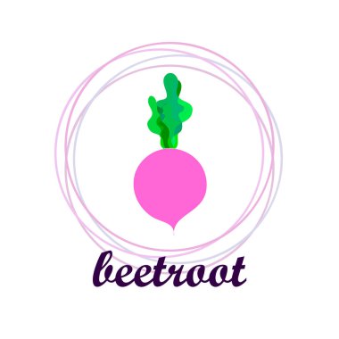 Taze pancar. Organik gıda posteri. Çiftçi pazarı tasarımı. Vektör.