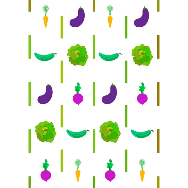 Kool, biet, wortel, aubergine, komkommer, verse groenten. Biologisch voedsel poster. Landbouwmarktordening. Vectorachtergrond. — Stockvector