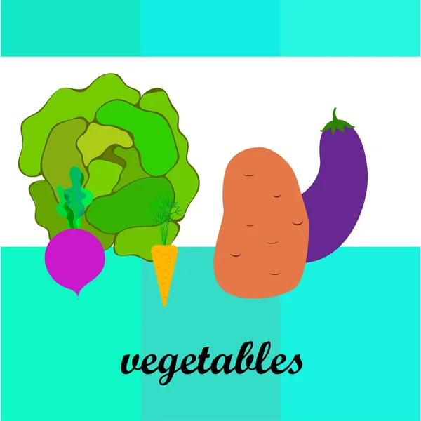 Col, remolacha, zanahorias, berenjenas, patatas, verduras frescas. Cartel de alimentos orgánicos. Diseño del mercado de agricultores. Fondo vectorial . — Archivo Imágenes Vectoriales