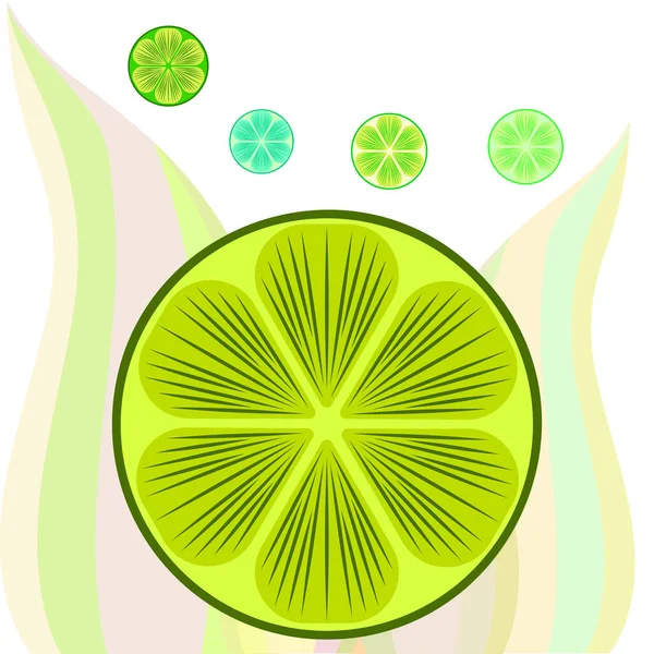 Metade verde e limão fatiado. Ilustração vetorial, fundo. — Vetor de Stock