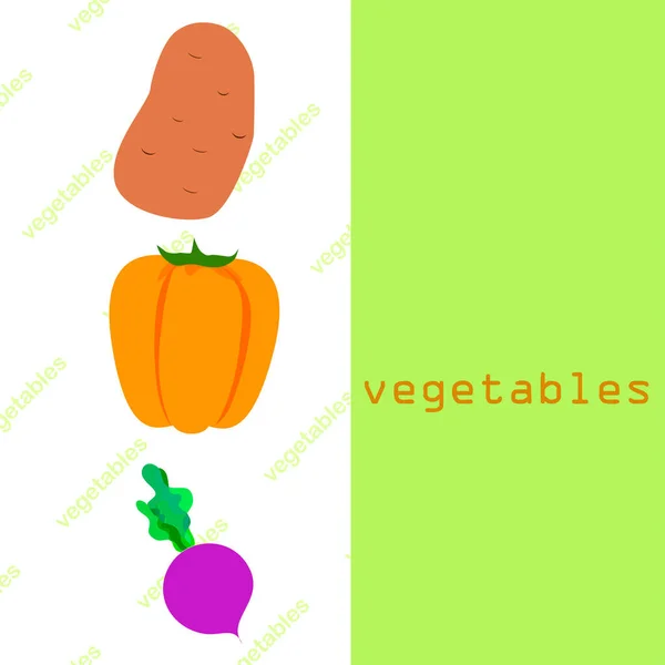 Fresh vegetables. Peppers, beets, potatoes. Organic food poster. Farmers market design. Vector. — ストックベクタ