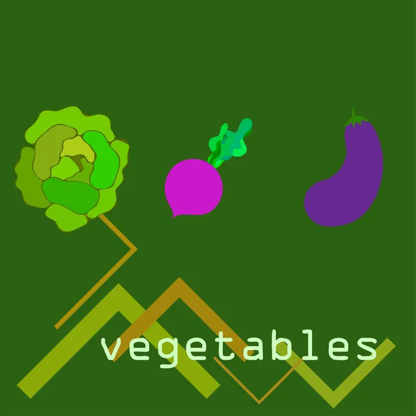 양배추, 가지, 사탕무, 신선 한 야채. 유기농 식품 포스터. 농부의 시장 디자인. 벡터 배경. — 스톡 벡터