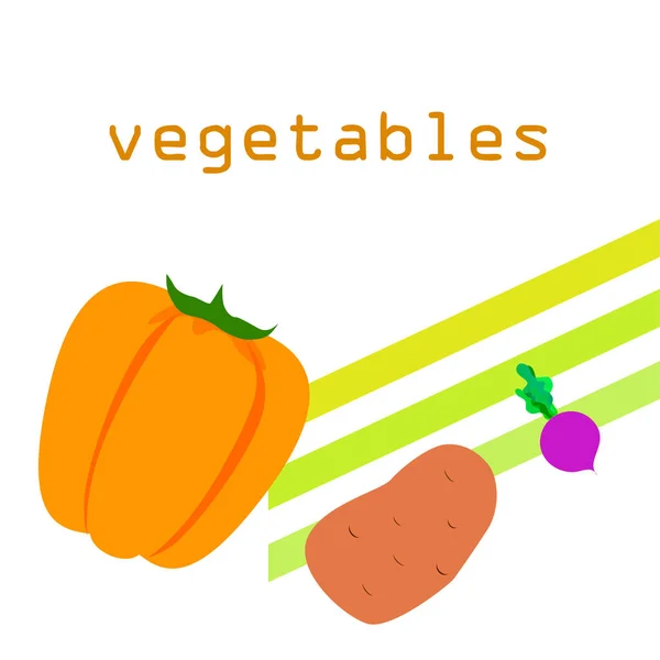 Verduras frescas. Pimientos, remolachas, patatas. Cartel de alimentos orgánicos. Diseño del mercado de agricultores. Vector . — Archivo Imágenes Vectoriales