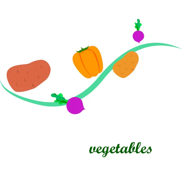 Färska grönsaker. Peppar, betor, potatis. Affisch för ekologisk mat. Utformning av jordbruksmarknaden. Vektor. — Stock vektor