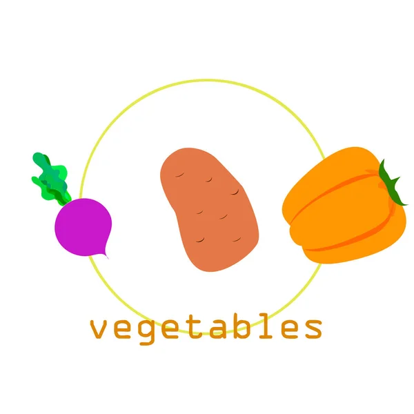 신선 한 야채. 고추, 사탕무, 감자. 유기농 식품 포스터. 농부들의 디자인. 벡터. — 스톡 벡터