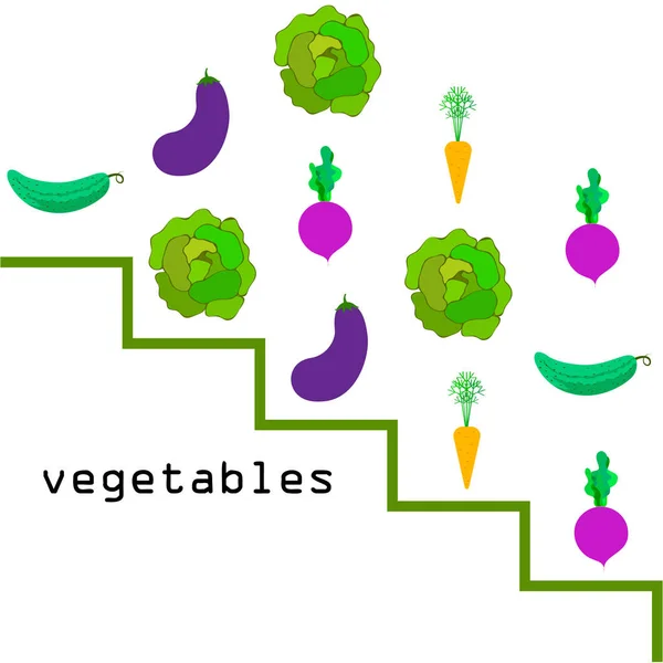 Kool, biet, wortel, aubergine, komkommer, verse groenten. Biologisch voedsel poster. Landbouwmarktordening. Vectorachtergrond. — Stockvector