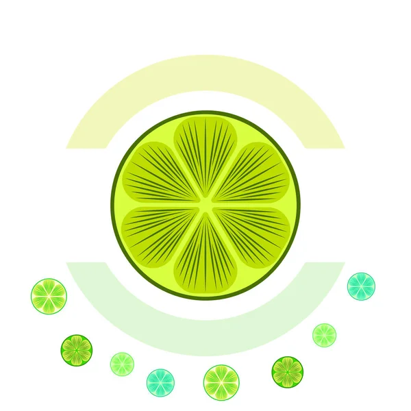 Demi vert et trancher la lime. Illustration vectorielle, fond. — Image vectorielle