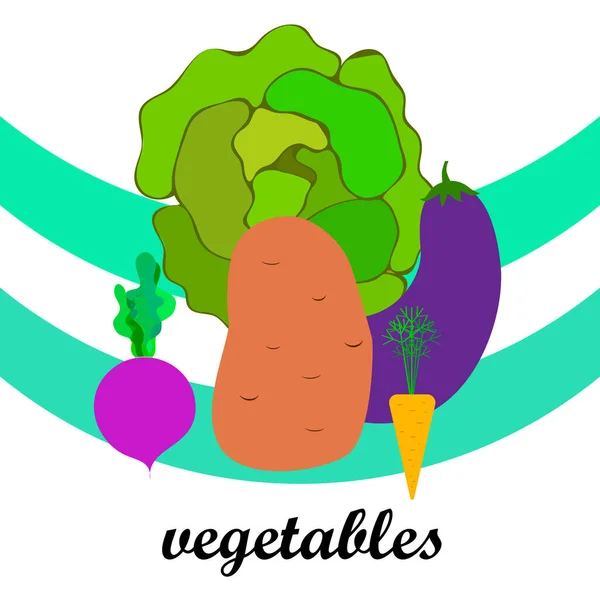 Cabbage, beets, carrots, eggplants, potatoes, fresh vegetables. Organic food poster. Farmer market design. Vector background. — Stock Vector