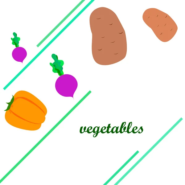 Fresh vegetables. Peppers, beets, potatoes. Organic food poster. Farmers market design. Vector. — ストックベクタ