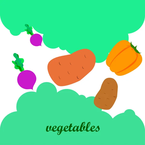 Verduras frescas. Pimientos, remolachas, patatas. Cartel de alimentos orgánicos. Diseño del mercado de agricultores. Vector . — Archivo Imágenes Vectoriales