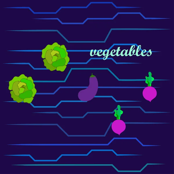 Kool, aubergine, bieten, verse groenten. Biologisch voedsel poster. Landbouwmarktordening. Vectorachtergrond. — Stockvector