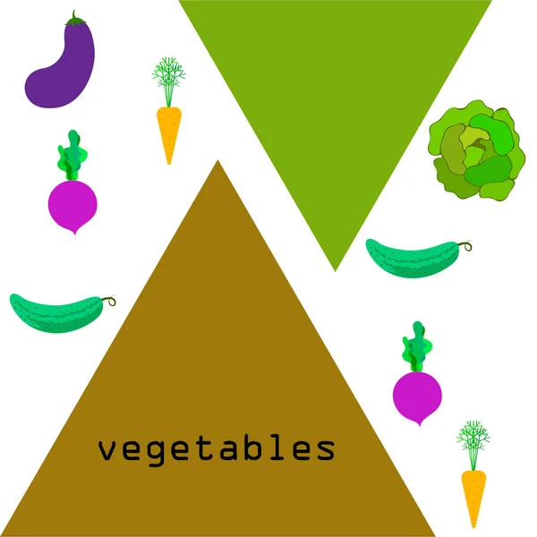 Zelí, řepa, mrkev, lilek, okurka, čerstvá zelenina. Ekologický plakát s jídlem. Návrh farmářského trhu. Pozadí vektoru. — Stockový vektor
