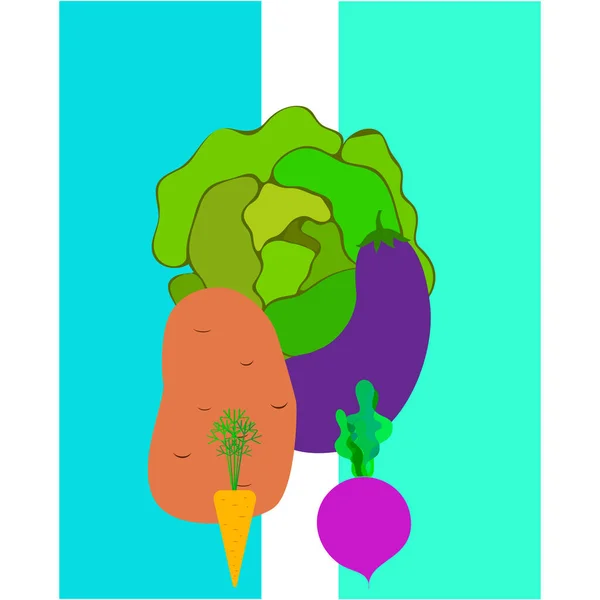 Repolho, beterraba, cenoura, berinjelas, batatas, legumes frescos. Cartaz de comida orgânica. Design de mercado de agricultores. Fundo vetorial . — Vetor de Stock