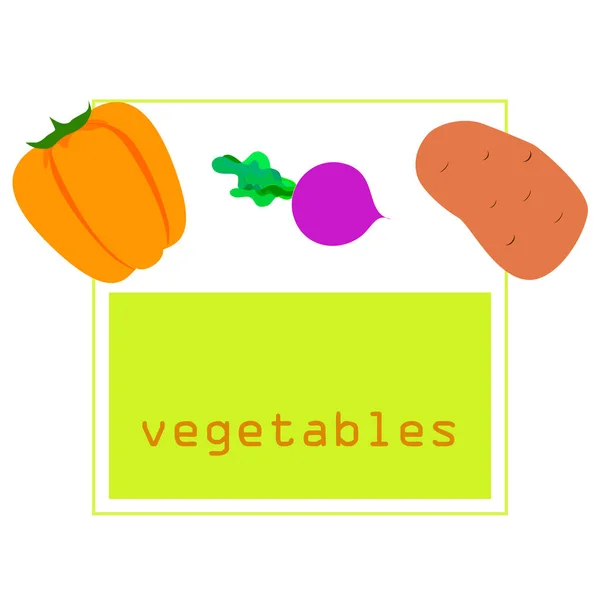 Fresh vegetables. Peppers, beets, potatoes. Organic food poster. Farmers market design. Vector. — Stock Vector