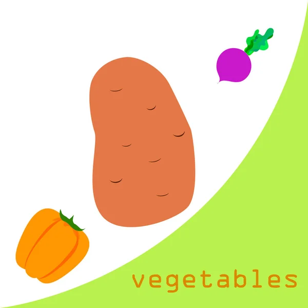 Verduras frescas. Pimientos, remolachas, patatas. Cartel de alimentos orgánicos. Diseño del mercado de agricultores. Vector . — Vector de stock