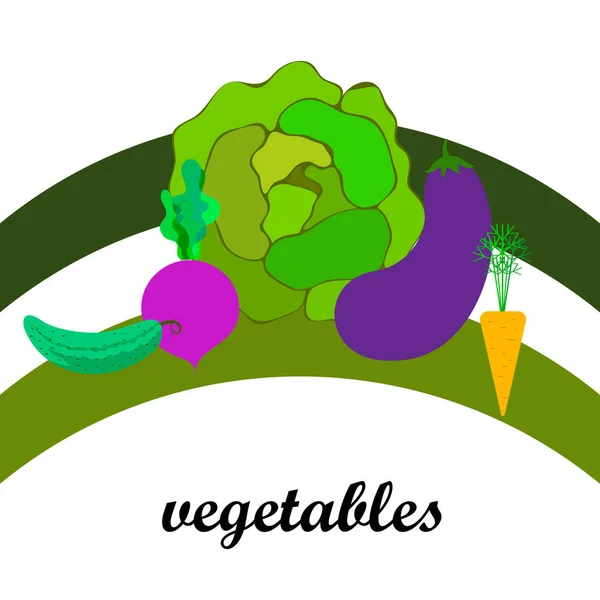 Kool, biet, wortel, aubergine, komkommer, verse groenten. Biologisch voedsel poster. Landbouwmarktordening. Vectorachtergrond. — Stockvector