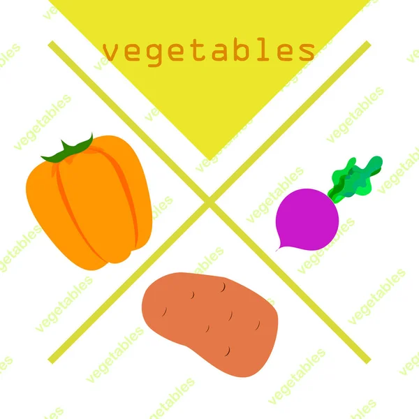 Légumes frais. Poivrons, betteraves, pommes de terre. Affiche alimentaire biologique. Aménagement du marché des agriculteurs. Vecteur . — Image vectorielle