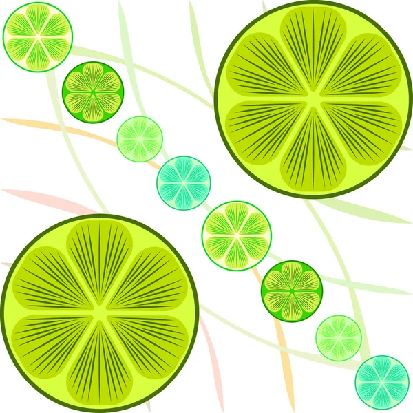 Mitad verde y rodaja de lima. Ilustración vectorial, fondo. — Archivo Imágenes Vectoriales