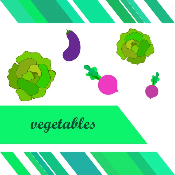 양배추, 가지, 사탕무, 신선 한 야채. 유기농 식품 포스터. 농부의 시장 디자인. 벡터 배경. — 스톡 벡터