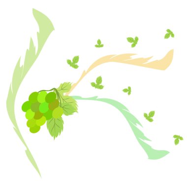 Yapraklı üzüm. Tasarım için vektör ögeleri