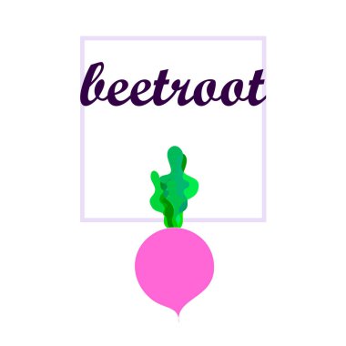 Taze pancar. Organik gıda posteri. Çiftçi pazarı tasarımı. Vektör.