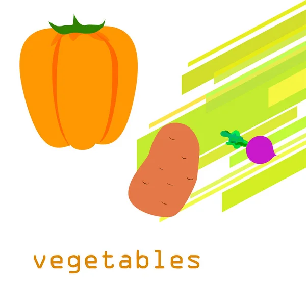 Fresh vegetables. Peppers, beets, potatoes. Organic food poster. Farmers market design. Vector. — ストックベクタ