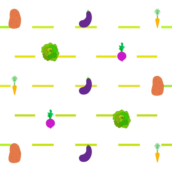 Repolho, beterraba, cenoura, berinjelas, batatas, legumes frescos. Cartaz de comida orgânica. Design de mercado de agricultores. Fundo vetorial . — Vetor de Stock