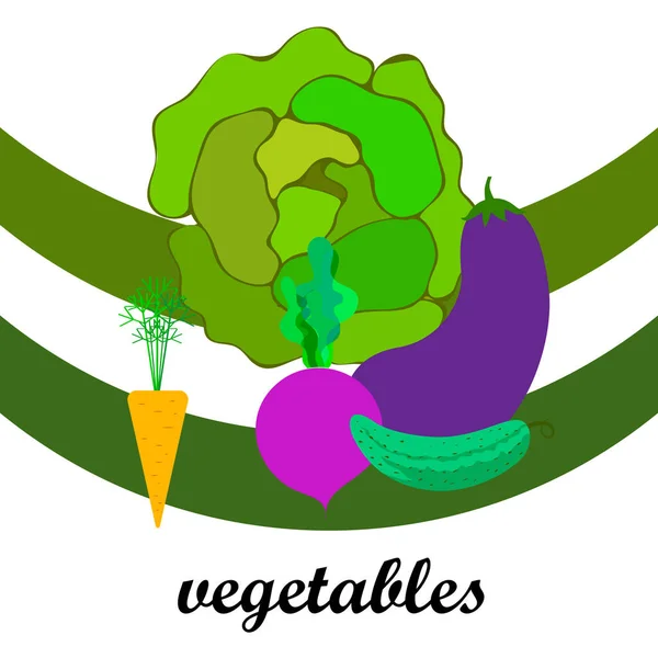 Varză, sfeclă, morcov, vinete, castravete, legume proaspete. Afișul alimentar organic. Proiectarea pieței agricultorilor. Fundal vectorial . — Vector de stoc