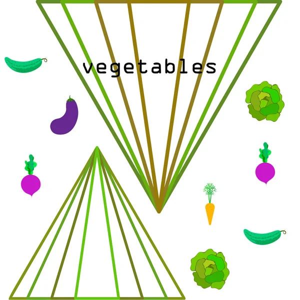 Col, remolacha, zanahoria, berenjena, pepino, verduras frescas. Cartel de alimentos orgánicos. Diseño del mercado de agricultores. Fondo vectorial . — Vector de stock