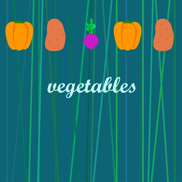Legumes frescos. Pimentos, beterrabas, batatas. Cartaz de comida orgânica. Design de mercado de agricultores. Vetor . — Vetor de Stock