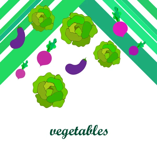 Cabbage, eggplant, beets, fresh vegetables. Organic food poster. Farmer market design. Vector background. — Stock Vector