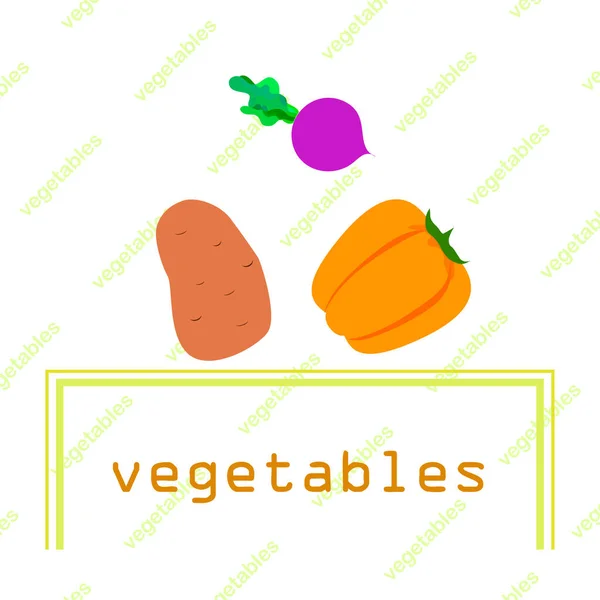 Fresh vegetables. Peppers, beets, potatoes. Organic food poster. Farmers market design. Vector. — ストックベクタ