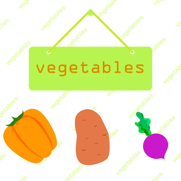 Verduras frescas. Pimientos, remolachas, patatas. Cartel de alimentos orgánicos. Diseño del mercado de agricultores. Vector . — Vector de stock