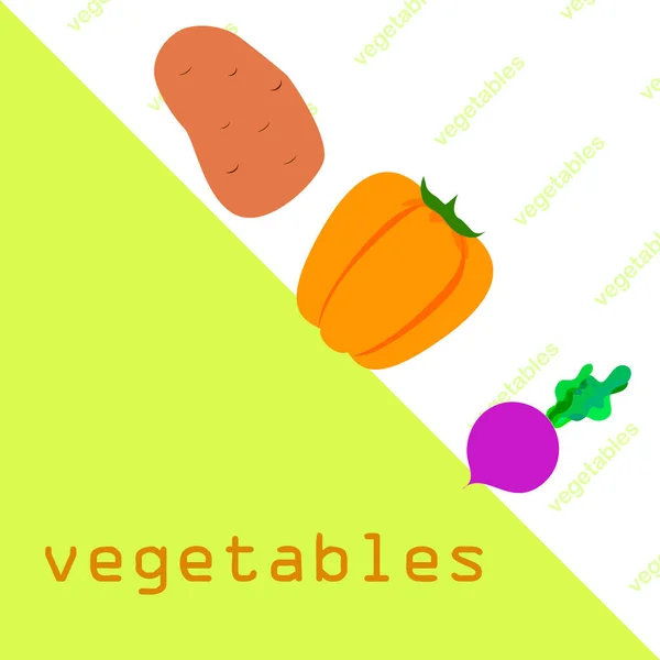 Légumes frais. Poivrons, betteraves, pommes de terre. Affiche alimentaire biologique. Aménagement du marché des agriculteurs. Vecteur . — Image vectorielle