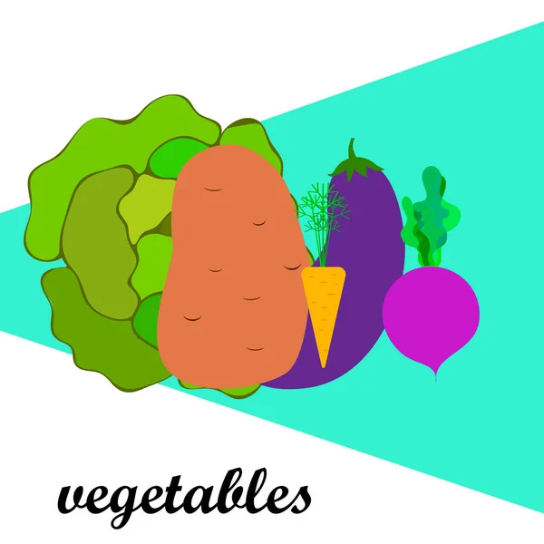 Cabbage, beets, carrots, eggplants, potatoes, fresh vegetables. Organic food poster. Farmer market design. Vector background. — Stock vektor