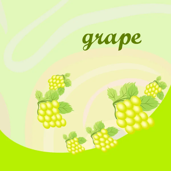 Grape with leaf. Vector elements for design — Stock Vector