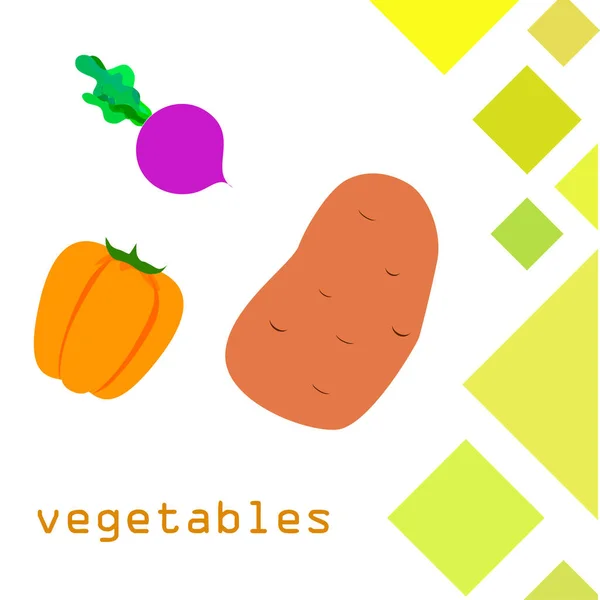 Verduras frescas. Pimientos, remolachas, patatas. Cartel de alimentos orgánicos. Diseño del mercado de agricultores. Vector . — Archivo Imágenes Vectoriales
